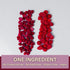 1oz Packs 100% Wise Harvest Freeze-Dried Raspberries Five | Single Ingredient Snack | Real Fruit, No Sugar Added, Just