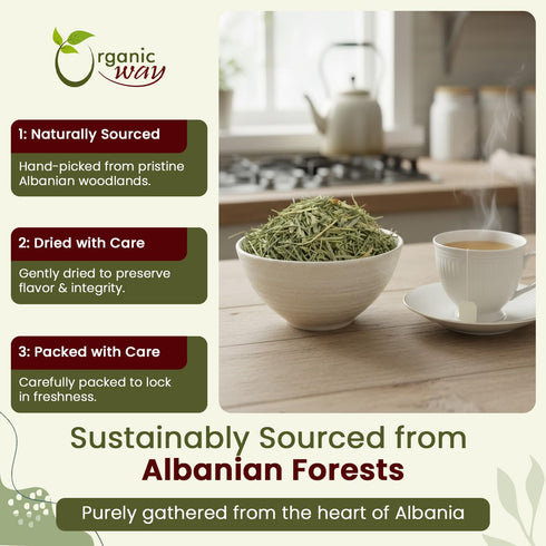 Horsetail (Equisetum 100% Albania (1/4LBS 4Oz.) Organic Way Herb Cut & Sifted arvense) - Herbal Tea | European