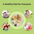 Pack 10 Packs, Hethstia Konjac Noodles Variety Keto, Vegan, Gluten-Free, Sugar-Free, Low Calorie, Low Carb, Shirataki