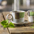 20 Count (Pack 6), 120 Bigelow Tea Perfectly Mint Black Tea, Caffeinated with Spearmint, Box of Total Tea Bags