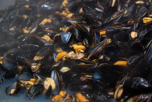 Matiz España Mussels in Extra Virgin Olive Oil & Apple Cider Vinegar, 3.92 oz - Handcrafted in Galicia, Spain