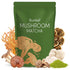 Bunkell Mushroom Matcha, Adaptogenic 6 Mushrooms Mix w/Japanese Matcha, Ceremonial Powder Blend