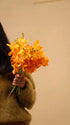 15 Stems of Fresh Orange Orchids - Perfect Gift for Any Occasion