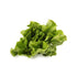 Fresh Produce Organic Butter Lettuce