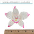 3 Count Global Sugar Art Brassavolaelio Orchid Sugar Cake Flowers, White with Pink, by Chef Alan Tetreault