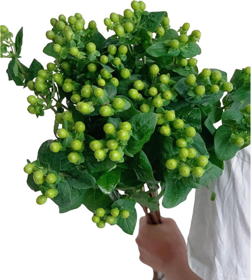 19 Vibrant Stems Green Bean Flower Bouquet for Special Occasions
