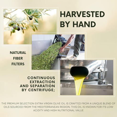 Packed 33.8 oz (1 Barbera Premium Selection Extra Virgin Olive Oil Cold Extraction, in Italy, Blend of Italian, Greek