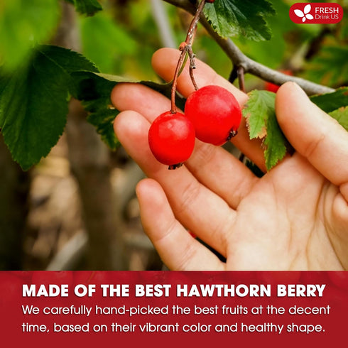 75 100% FreshDrinkUS, Premium Hawthorn Berry Tea - Tea Bags - Natural Herbal Infusion, Caffeine-Free, Rich Aroma