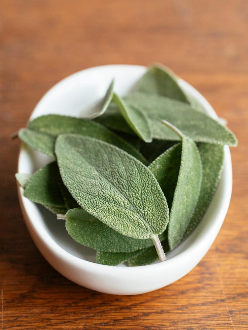 1200+ Count 2026 TomorrowSeeds - Broadleaf Sage Seeds - - for Planting Salvia Perennial Heirloom Thyme Rosemary Basil