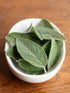 1200+ Count 2026 TomorrowSeeds - Broadleaf Sage Seeds - - for Planting Salvia Perennial Heirloom Thyme Rosemary Basil