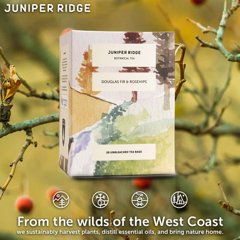 20 Juniper Ridge Douglas Fir & Rose Hip Botanical Tea - Tart & Tangy, Citrus, & Mild Evergreen Notes - Vegan, Caffeine