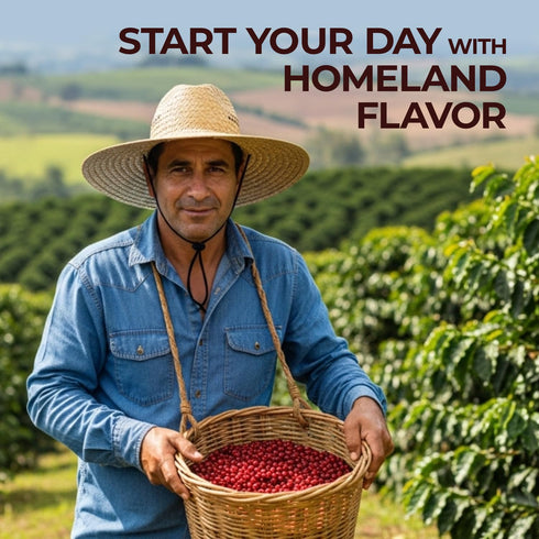 100% Packed 14 Oz 3-Pack Mi cafe es ORO Ground Coffee Honduran Dark Roast; Exotic Flavor; Smooth Aroma; Ideal for Drip