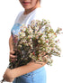 15 Fresh White Wax Flower Hydroponic Fresh Cut Flower Arrangement Gifts for Home Decor Birthdays Anniversaries Healing