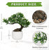 10' DILATATA Fake Bonsai Tree Zen Juniper Plant Tall Artificial Bonsai with White Ceramic Pot Decorated with Pebbles
