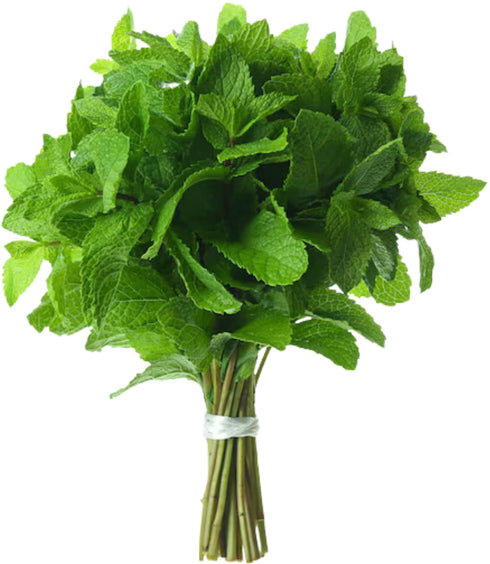 Rani Fresh Mint (Pudina) Leaves 1.5oz - 2oz, Pack of 1 ~