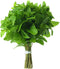 Rani Fresh Mint (Pudina) Leaves 1.5oz - 2oz, Pack of 1 ~