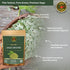 4 oz (113g)- Spice Magic Ground Sage, Premium Ground Herb for Savory Dishes, Perfect for Stuffing, Sausages, Poultry