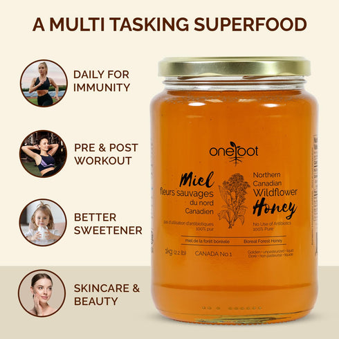 2.2 lbs 1kg, OneRoot Natural Wildflower Honey - / Pure Canadian Boreal Forest Honey - Unpasteurized, Minimally Filtered