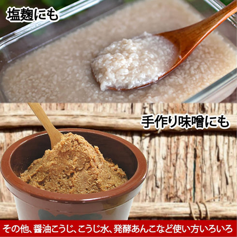 Isesou 1kg IseSo Miyako Koji