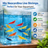 Generic 20+ 1/2-1 Inch Holding Mixed Color Neocaridina Shrimp - Live Freshwater Aquarium Shrimp for Breeding, (Young