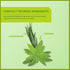 Wissotzky Lemongrass & Verbena Green Tea - 20 Tea Bags | Soothing Aroma | Antioxidant Rich