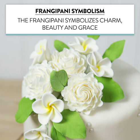 20 Count Global Sugar Art Tropical Frangipani Plumeria Sugar Cake Flowers, White by Chef Alan Tetreault