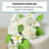 20 Count Global Sugar Art Tropical Frangipani Plumeria Sugar Cake Flowers, White by Chef Alan Tetreault