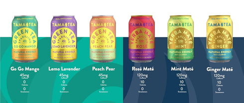120mg 12 oz (12-Pack) Organic Sparkling Ginger Yerba Mate Tea, Unsweetened by Tama Tea - Sugar Free Energy Drink