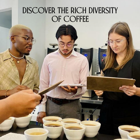 35.2 oz (2.2 lb) Crema Coffee Whole Bean, Medium Roast Coffee Beans, Signature Blend with Butterscotch, Sweet Caramel