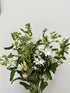 Cassiolina 10 Stem Fresh Cut Blue Star Flowers Tweedia Bouquet Stems for Wedding Floral Arrangement Home Decoration