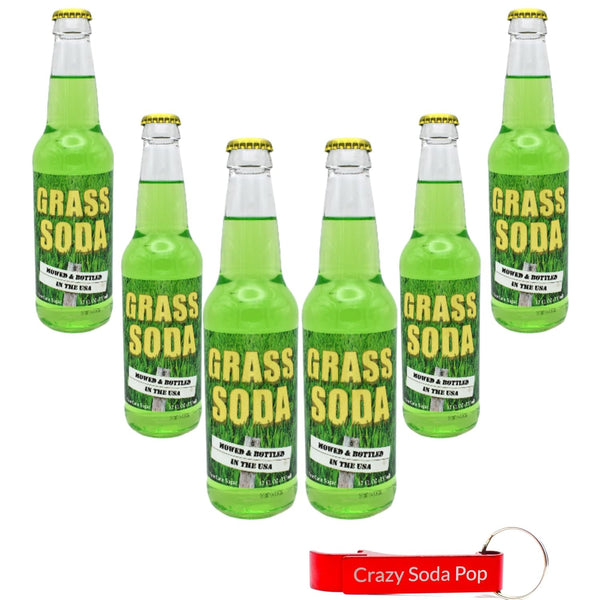 Generic Grass Soda | 6 Pack of Unique Grass Flavored Soda Pop with