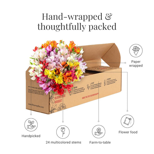 24 BloomsyBox. Multicolored Alstroemeria Bouquet Flowers, Long Lasting & Hand-Tied, Farm Fresh Cut Flowers Bouquet