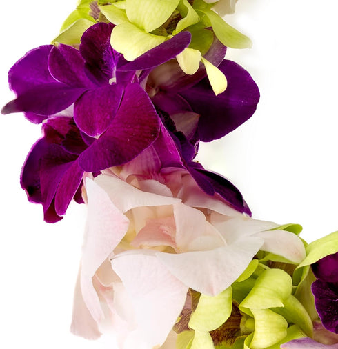 Generic Graduation Leis, Fresh Cut Orchids Flower Leis, Long-lasting double leis made of fresh cut purple, pink