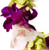 Generic Graduation Leis, Fresh Cut Orchids Flower Leis, Long-lasting double leis made of fresh cut purple, pink