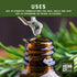 1/4 lb Organic Whole Rosemary Leaves, by Herb Co, Dried Rosmarinus officinalis from Morocco, Cooking, Skincare