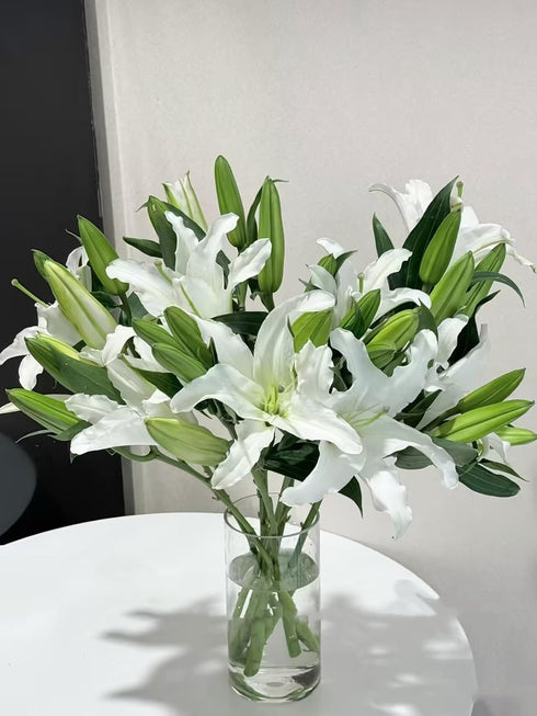 Cassiolina 0 Stems Fresh Oriental Lily Flowers Fragrant Lily Bouquet for Vase Home Decor Wedding Party Floral
