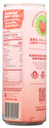 Packed Immunity, Pricklee Wild Strawberry Cactus Water - With Antioxidants, Electrolytes, Vitamin C - Natural Sports