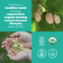 Mulberries Mulberries (8oz. 8 Navitas Organics For Healthy Snacks, Topping, Baking & More Sun Dried White Turkish No