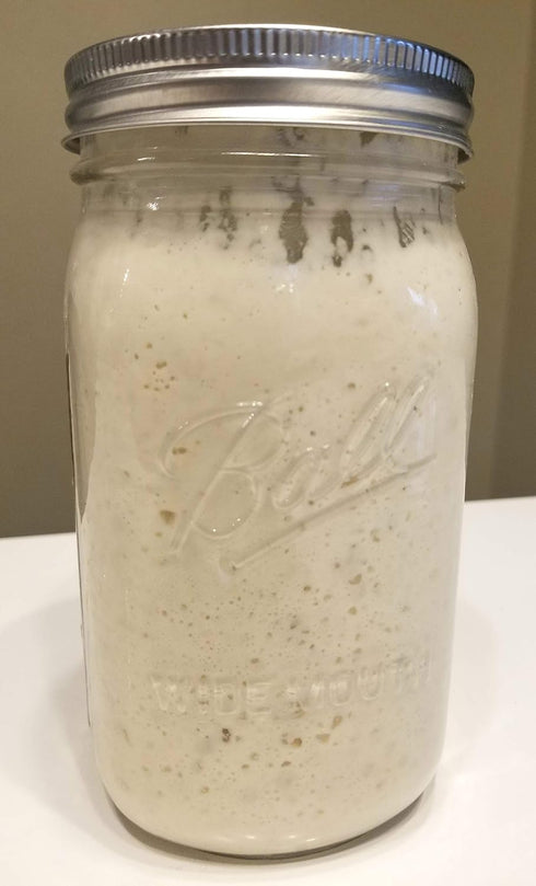 Anything Healthy, LLC 100% Einkorn Sourdough Starter - Dehydrated, Dried Sourdough Starter for Baking Bread- Non-GMO