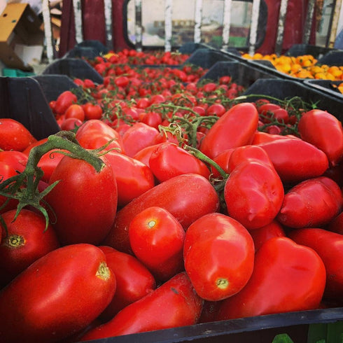 100% 28.8 oz (800g) Italian Tomatoes Gustarosso DaniCoop Campania, Italy