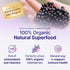 100% 1lb Immune Gummies, 1 Certified USDA - Organic Dried Elderberries - Bulk - Non-Irradiated, Non-Gmo, Whole Black