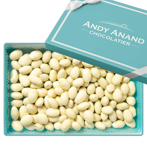 ANDY ANAND CHOCOLATIER Yogurt Covered Almonds 1 lb Gourmet Greek Yogurt Flavored