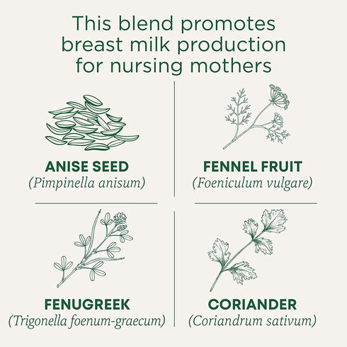 16 6 Traditional Medicinals Organic Mother's Milk Herbal Tea - Tea Bags - Case