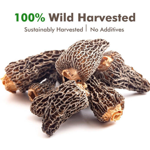 2oz, (56.7g) VIGOROUS MOUNTAINS Premium Dried Wild Morel Mushrooms Wild Harvested, Earthy Flavor & Rich Umami-Perfect