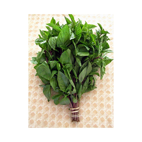 TastePadThai Thai Sweet Basil Fresh 1/2 Lb ( 8 Oz.)