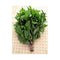 TastePadThai Thai Sweet Basil Fresh 1/2 Lb ( 8 Oz.)