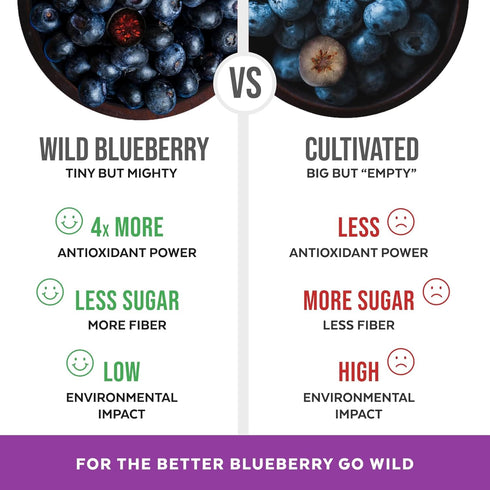 Wild Blueberry Powder Organic, USDA Certified, for Smoothies, Baking, Rich in Antioxidants