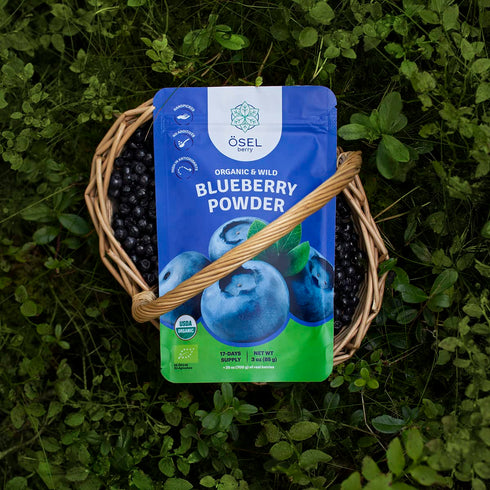 SEL BERRY 3oz Organic Wild Blueberry Powder USDA Certified - No Sugar Added Antioxidant-Rich Freeze Dried Organic Wild