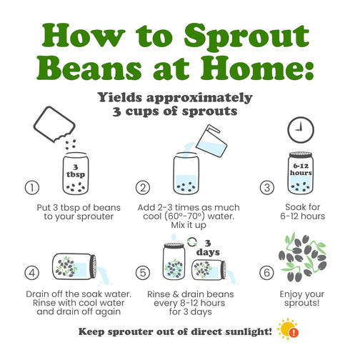 3 Food to Live Organic Adzuki Beans, Pounds Non-GMO, Sproutable, Whole Raw Dried Azuki Beans (Red Mung Beans), Vegan