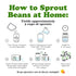 3 Food to Live Organic Adzuki Beans, Pounds Non-GMO, Sproutable, Whole Raw Dried Azuki Beans (Red Mung Beans), Vegan